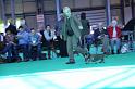 Crufts_dachshunds 251